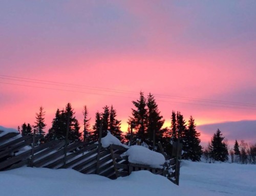 Bestill julebord allerede nå!