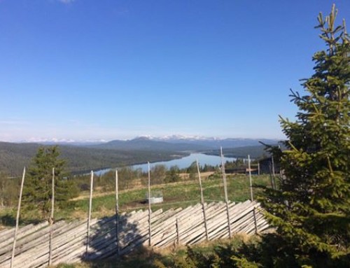 Sommerferie på Wadahl hotell